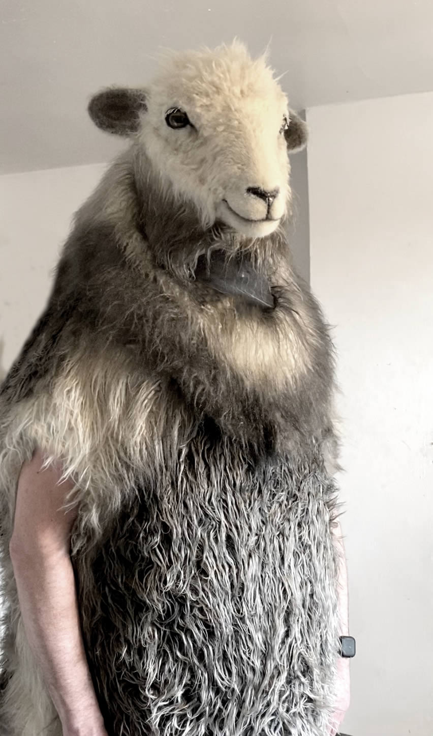 costume commission - realistic herdwick sheep creature suit with micro-controlled animatronic head