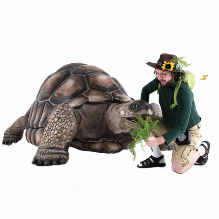 more about zelva the giant tortoise